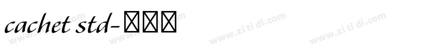 cachet std字体转换